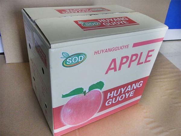 1612233460802284.jpg 5fe18f01a2ab8.jpg